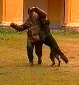Z�kroky v n�hubku jsou specifickou policejn� discipl�nou