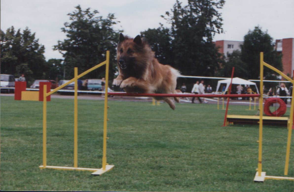 Agility