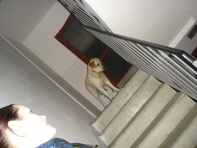 Co to vidím