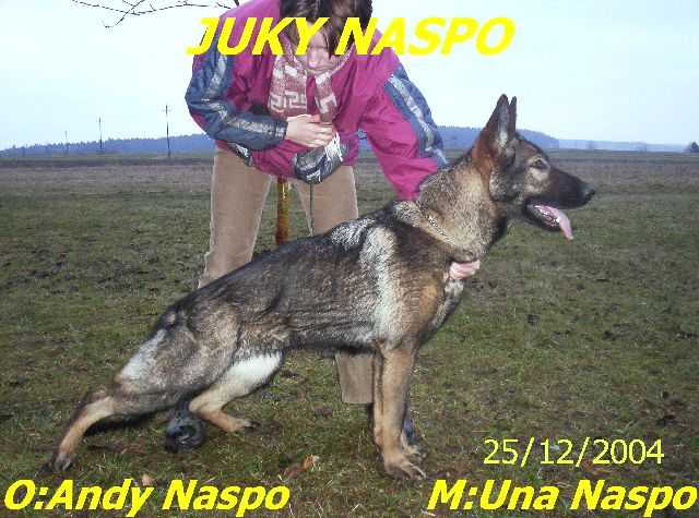 Juky Naspo1