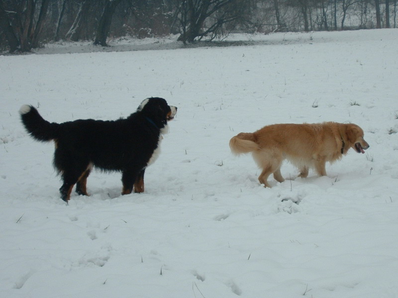 Sam a Peggy na sněhu
