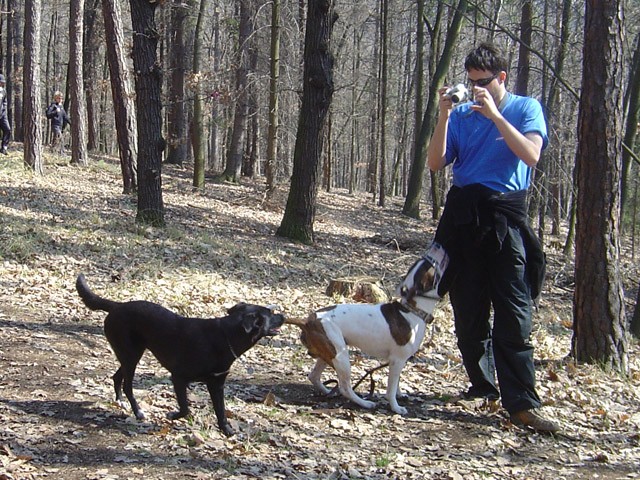 Grabenhunde, Gary a jezkovich