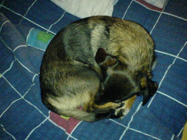 Jůlinka