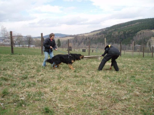 Kousání