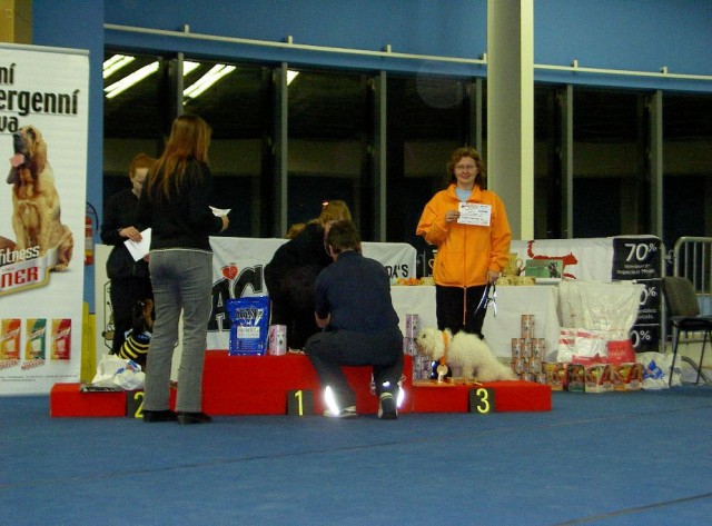 Ostravský pohár 2007