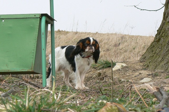 Baltíkovo zastavení