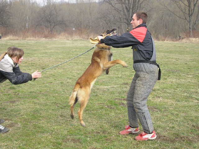 Cedrik  pod Cvilinem