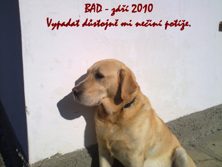Důstojně pózuji