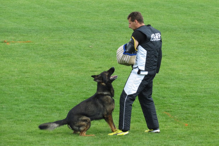 Falk Zde-Sko a Josef Kubec