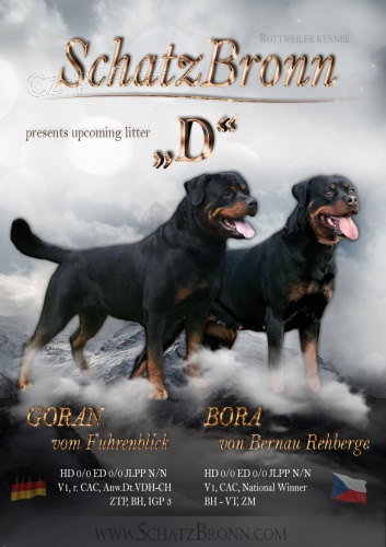 tata rotvajlera s PP - Rottweiler (RTW) - tn