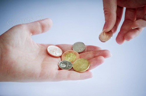 Nabízíme přístup k okamžité půjčce.