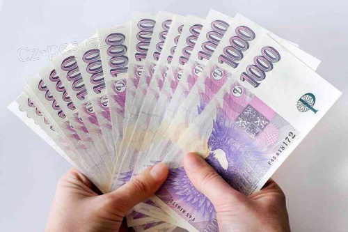 Získejte až 50 milionů korun
