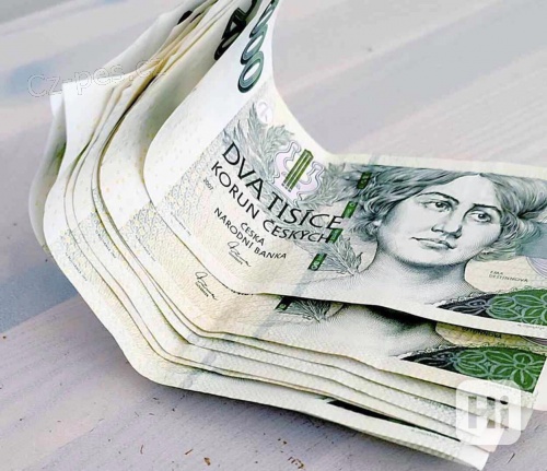 Finanční pomoc od soukromého investora