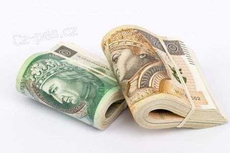 Potřebujete finanční pomoc? 