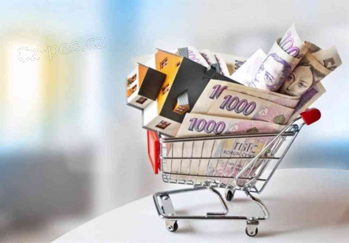 Rychlá a rychlá půjčka na investici.