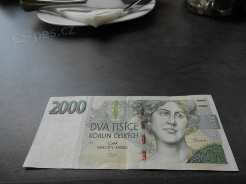 Online pjka rychle na et