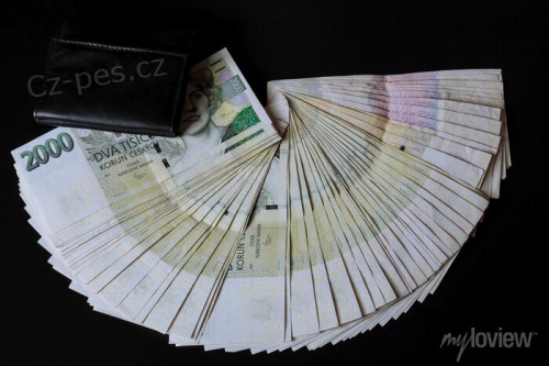 Rychl pjky a financovn