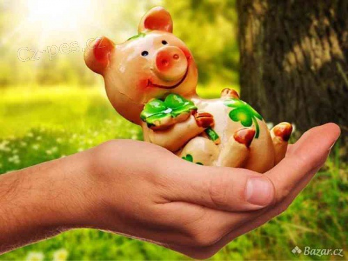 EXPRESN NEBANKOVN PJKY. 