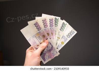 Rychl a spolehliv financovn