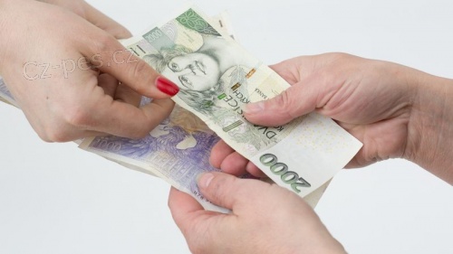 Rychl� finan�n� pomoc