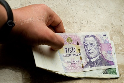 P�j�ky a rychl� financov�n�