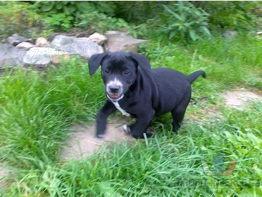 Kr�sn� �t��ata 