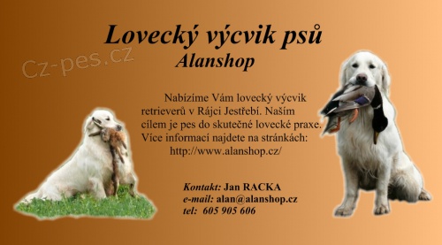 ALANSHOP loveck vcvik