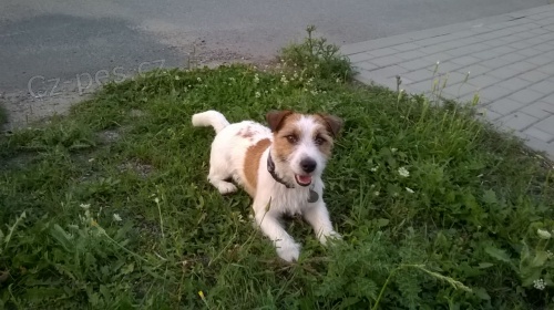 Kryt JRT