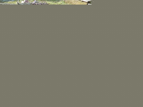 Prodm tata nmeck dogy s PP