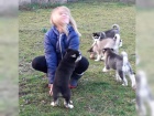 kouzlujc ttka sibiskho Huskyho