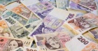 Pujka od Investora