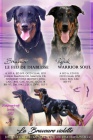 Beauceron s PP