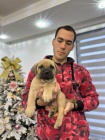 Presa Canario tata