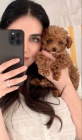 toy pudla