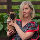 staford��rsk�ho bulteri�ra