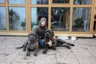 �t�na Cane Corso bez PP