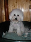 Bionek-akce-odbr od 23.12.2011
