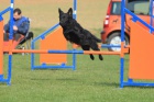 kurz agility pro zatenky - Ostrava