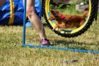 Agility - letn soustedn -vcvikov tbor