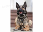 Vyhledvm psy pro policii v USA