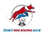trnink Dog Racing