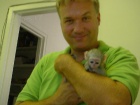 Dte Kapucn Opice Pro Prodej