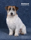 JRT Zandor Zaffiro Victory Garden nabdka kryt