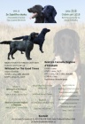 Štěňátka Flat Coated Retriever s PP