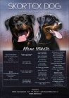 Rotvajler, RTW, rottweiler tata - fenky