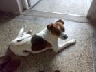 MONTY