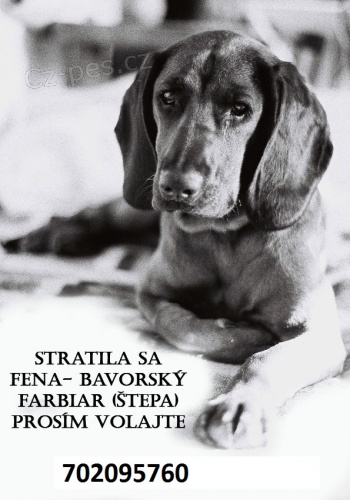 ztratil sa bavorsky barvař