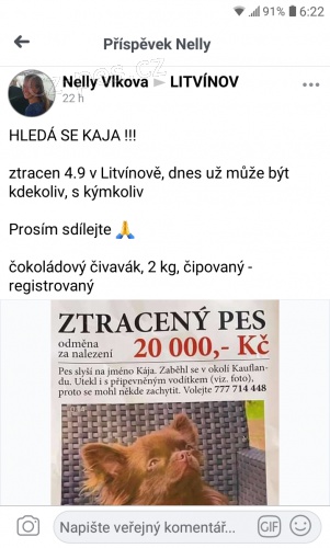Hledá se pes, hnědá čivava Kaia, ztratil se 04.09.2021 v sobotu večer v Litvínově v okolí litvínovského Kauflandu