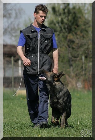 Vcvikov tbor s Martinem Uiaem- poslunost, obrany, stopy