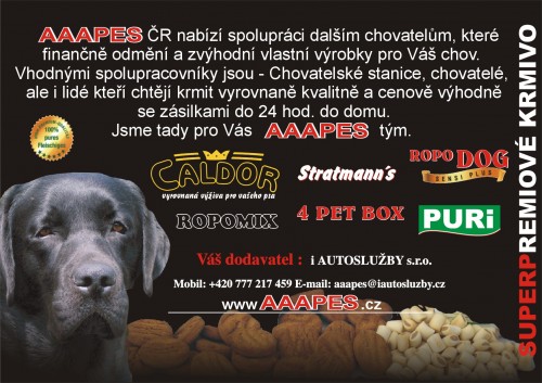 �AAPES Na�e Slu�by